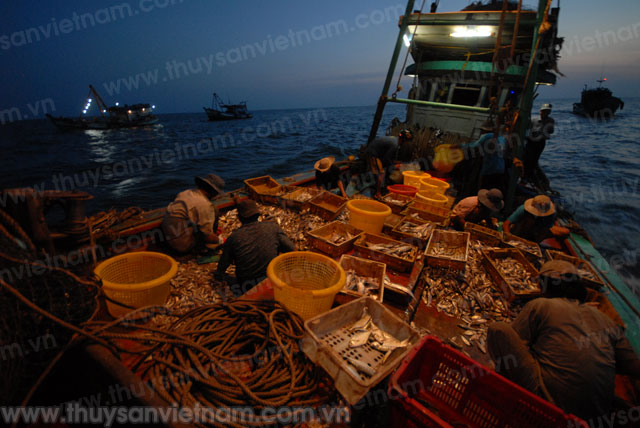 Điển hình khuyến ngư 2014