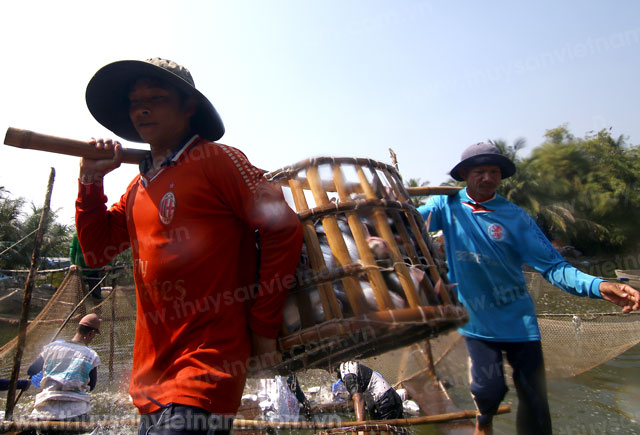 Tập trung mọi nguồn lực cho công tác thủy sản