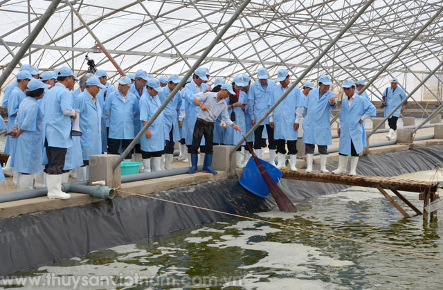 Bạc Liêu: Tham quan mô hình nuôi tôm siêu thâm canh trong nhà kính