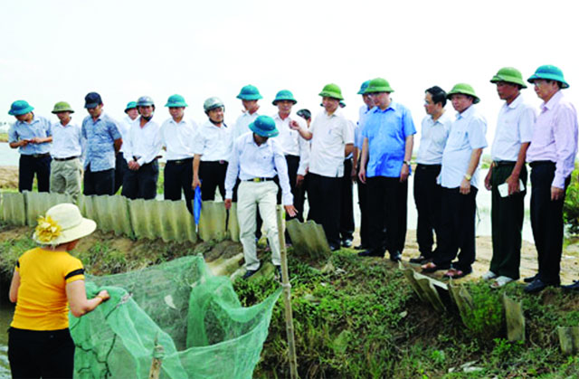 Mô hình hợp tác xã nông, thủy sản: Cần cơ chế mở