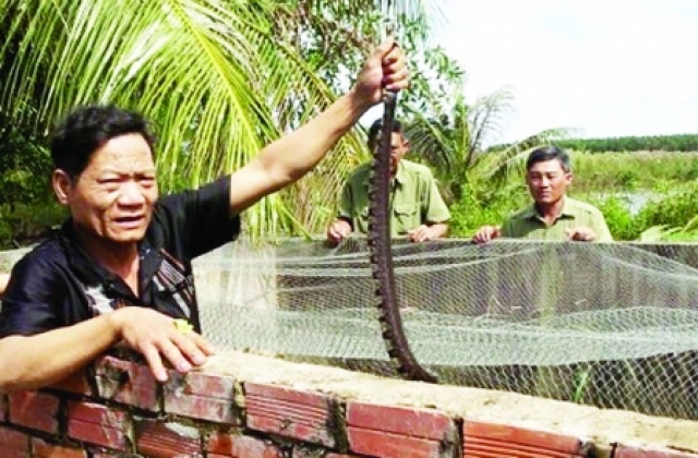 Cựu chiến binh Phan Thành Giọn vượt khó làm giàu