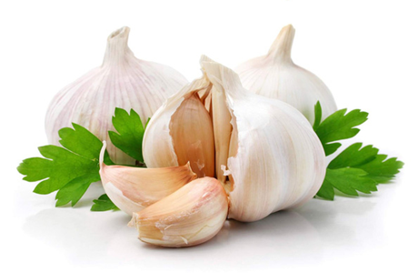 Dùng tỏi trong nuôi trồng thủy sản