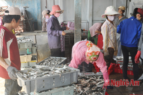 Nghệ An: Tính