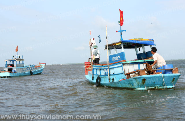 Bến Tre: Ngư dân thắng lớn mùa khai thác biển