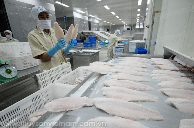 VASEP đề xuất nâng hàm lượng nước cá tra lên 84,1%