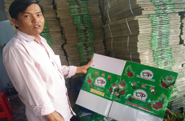 Thương lái Trung Quốc thao túng thị trường thanh long: Ruột Việt, vỏ Trung...