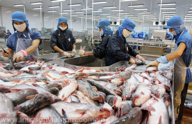 Thị trường Chile: Để thủy sản hanh thông bước vào