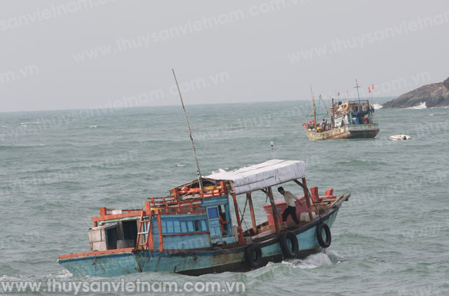 Khánh Hòa: Thêm 2 Nghiệp đoàn Nghề cá ra mắt