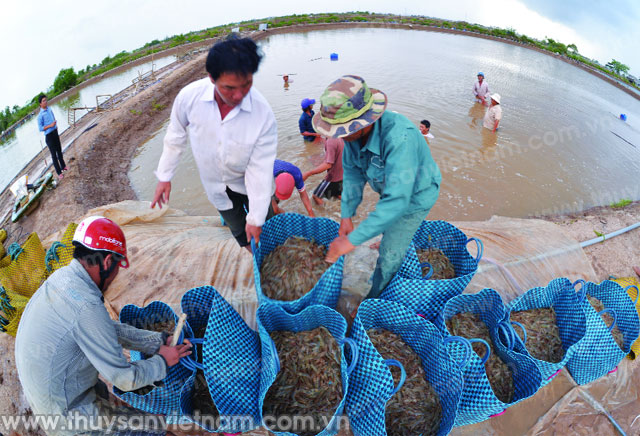 “Phát triển nghề cá công nghiệp, hiện đại”