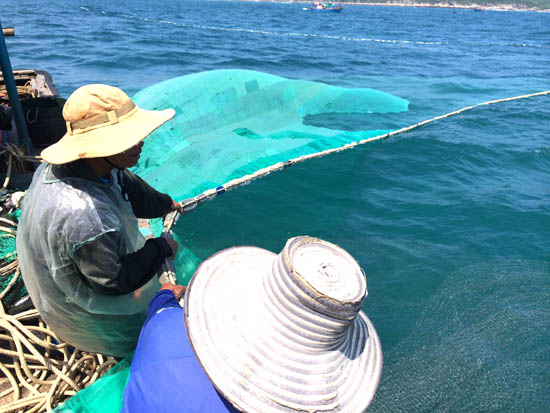 Quảng Ngãi: Ngư dân trúng đậm cá cơm nồm