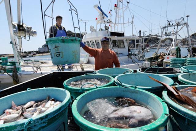 Nhật Bản: Có thể khởi kiện Hàn Quốc trước WTO về lệnh cấm nhập khẩu thủy sản vùng Fukushima