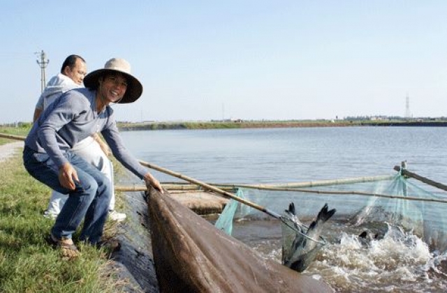 Trang trại 3T của