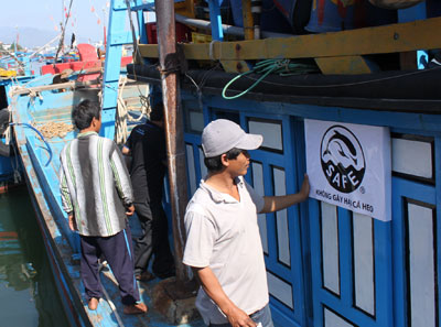 Tuyên truyền không gây hại cho cá heo khi đánh bắt cá ngừ