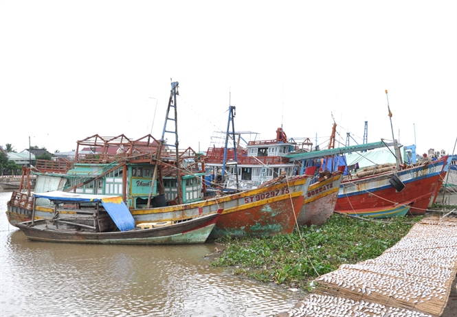 Xăng dầu giảm giá, ngư dân 