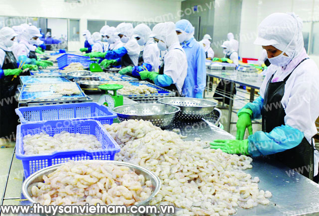 Thuế chống phá giá tôm Việt Nam xuống dưới 1%