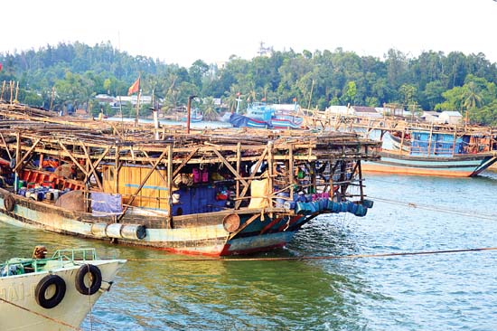 Quảng Ngãi: Hải sản rớt giá, ngư dân ngại ra khơi