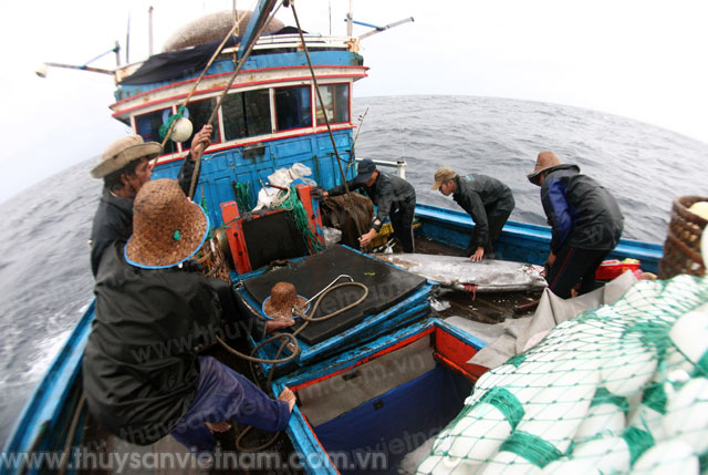 Hội Nghề cá Việt Nam: Phản đối Trung Quốc cướp tài sản, phá hỏng tàu cá của ngư dân