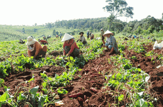 Tự cứu trên vùng đất hạn