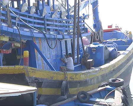 Bình Thuận: Ngư dân Phan Thiết háo hức những chuyến biển cuối năm