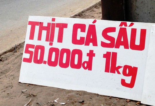 Tràn lan thịt cá sấu lề đường