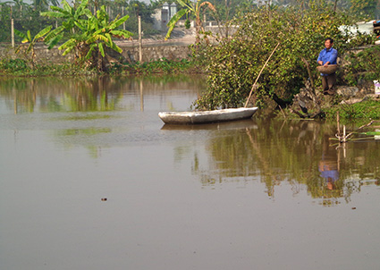 Ninh Bình: Hiệu quả mô hình nuôi bán thâm canh cá chép trong ao