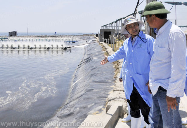 Thủy sản Đắc Lộc: Kinh doanh gắn với trách nhiệm cộng đồng