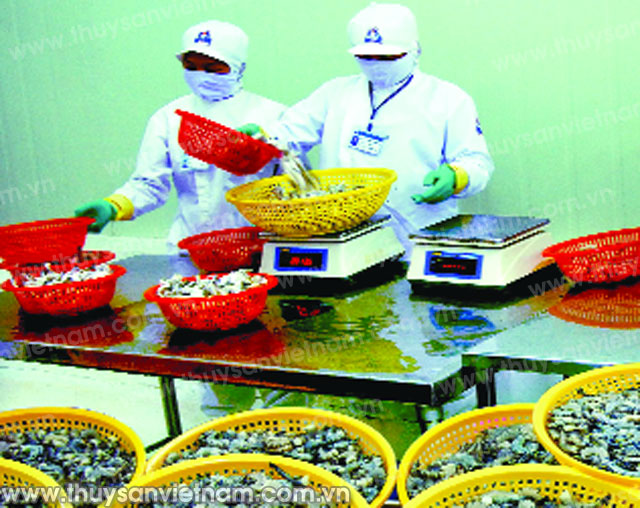 Tôm Quốc Việt đạt chứng nhận ASC đầu tiên của châu Á