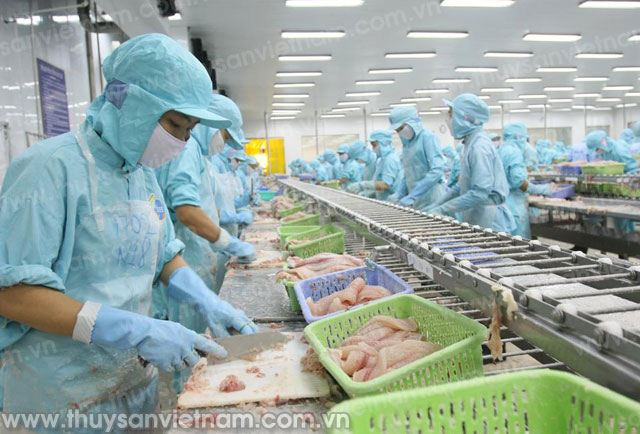 Ít nhất 5 năm tới, Việt Nam vẫn bị áp thuế CBPG với cá tra, basa