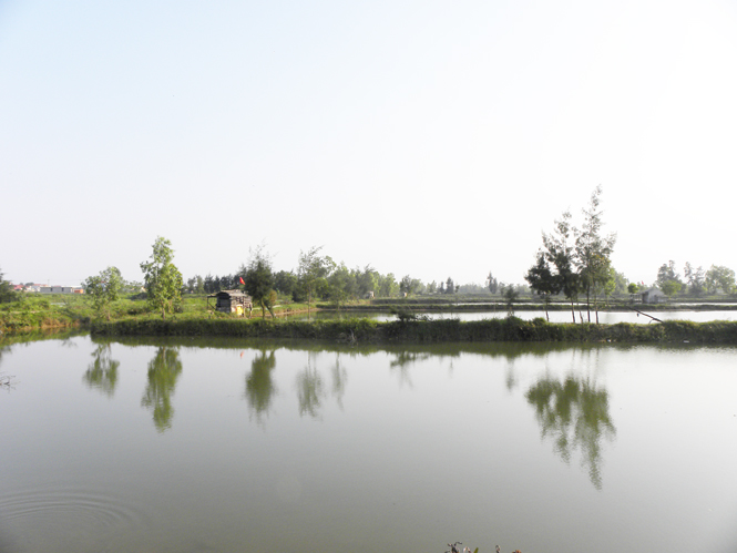 Quảng Bình: Đẩy mạnh ứng dụng công nghệ sinh học trong nuôi trồng thuỷ sản