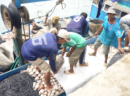 Bà Rịa - Vũng Tàu: Tín hiệu vui từ khai thác thủy sản