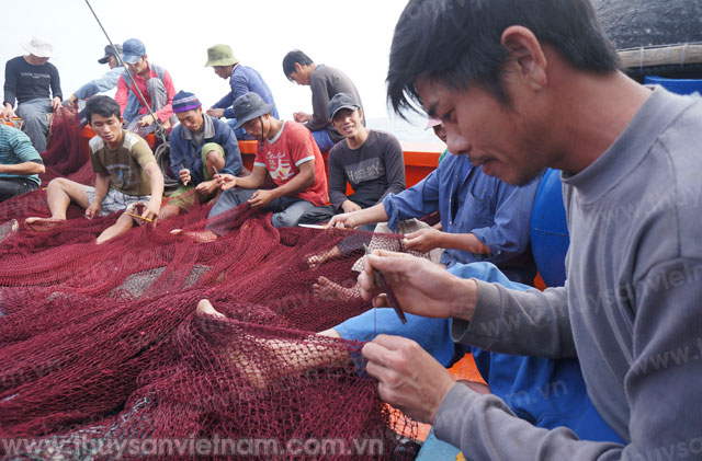 Nhộn nhịp ra khơi chuyến cuối năm
