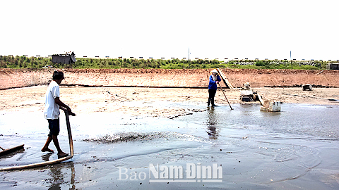 Nam Định: Bảo vệ môi trường nuôi trồng thủy sản nhằm hạn chế dịch bệnh