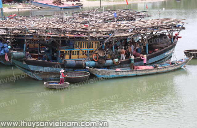 Quảng Ngãi: Năm 2014 hỗ trợ ngư dân hơn 140 tỷ đồng