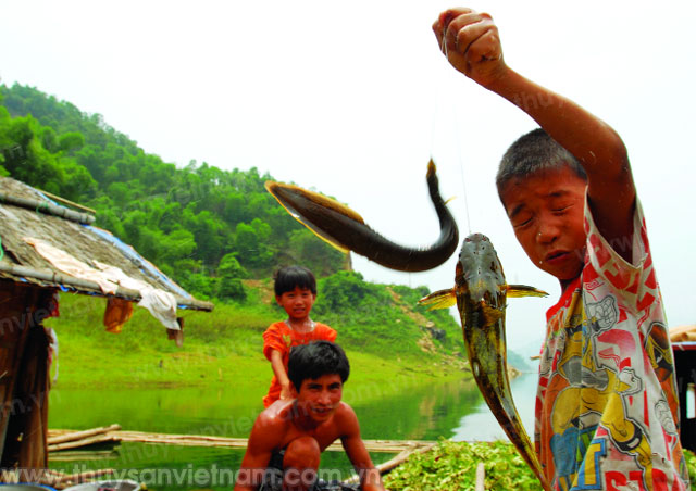 Nuôi cá lòng hồ thủy điện