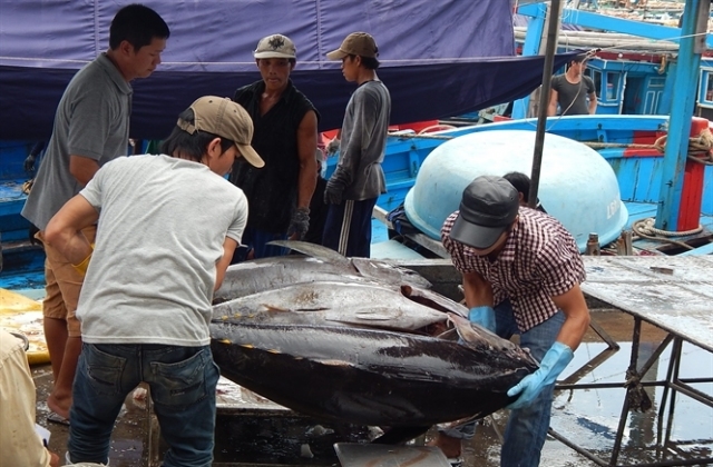 Xây dựng 6 Trung tâm Nghề cá lớn: Còn nhiều băn khoăn!.
