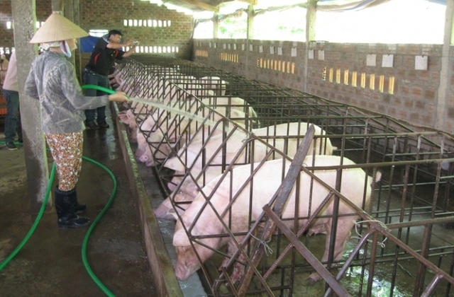 Tiếp sức kinh tế trang trại