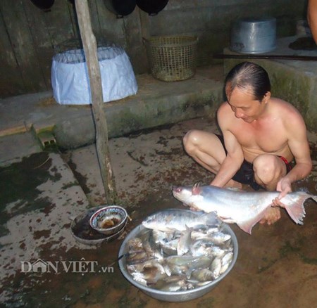 Về miền Tây đi chài cá… “thập cẩm”