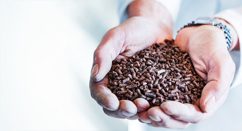 Mỹ: Calysta Inc chế tạo thành công thức ăn thay thế bột cá và khô đậu