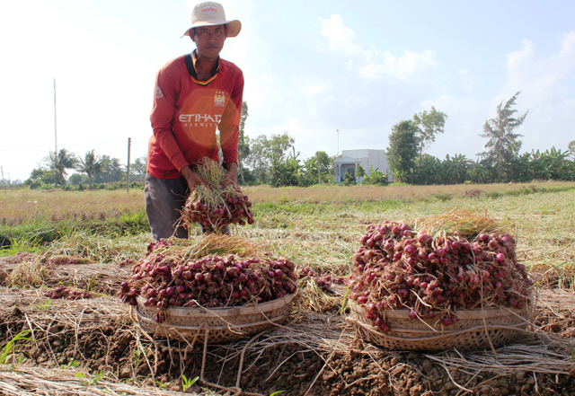 Nông - thủy sản Việt đang “sống mòn”