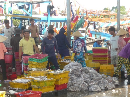 Trà Vinh: Khai thác và nuôi trồng thủy sản tiếp tục phát triển ổn định