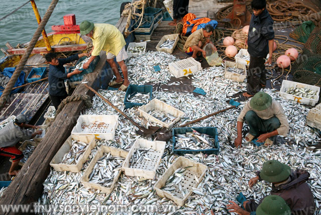 Khai thác gần 1,3 triệu tấn thủy sản