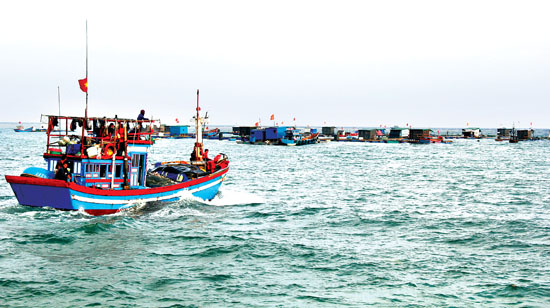 Quảng Ngãi: Hệ lụy từ nuôi trồng thủy sản tự phát - Khổ vì quy trình ngược