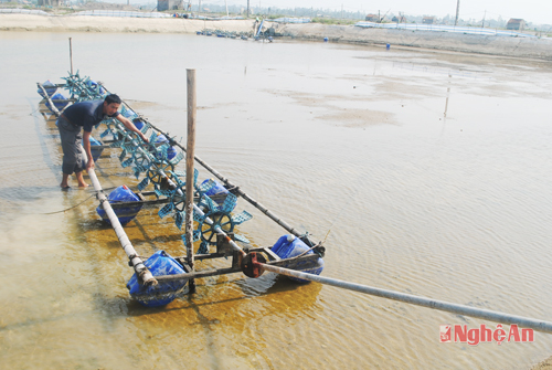 Nghệ An: Tích cực 