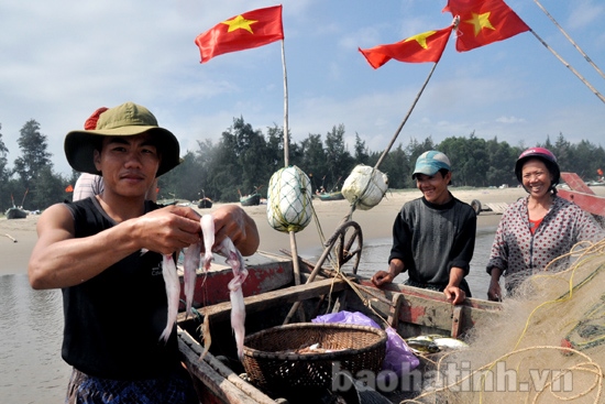 Hà Tĩnh: Đánh bắt thủy, hải sản: Hứa hẹn “mùa vàng”!
