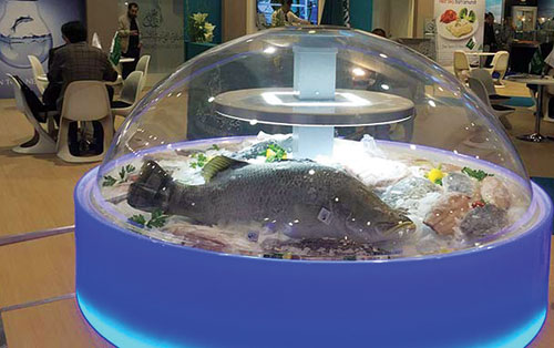 Ả Rập Saudi: NAQUA mở rộng xuất khẩu tôm, cá barramundi