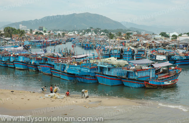 Xây dựng Trung tâm nghề cá lớn tại Khánh Hòa