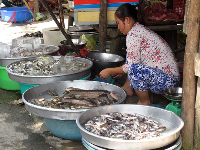 Cạn kiệt cá đồng