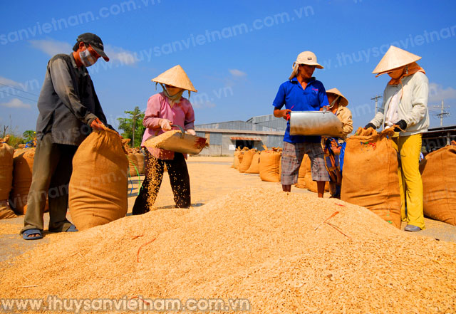 Tháo gỡ khó khăn cho xuất khẩu nông, lâm, thủy sản
