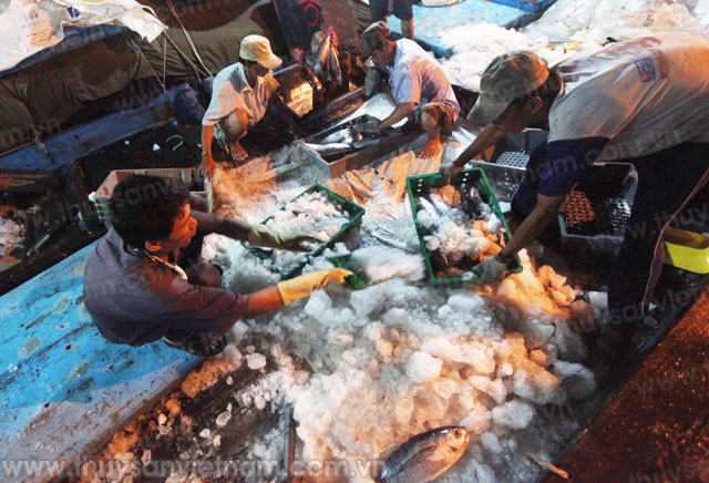 Đà Nẵng: Ngư dân đầu tiên được vay vốn theo Nghị định 67