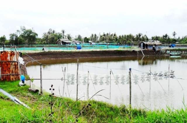 Giải pháp cho nuôi tôm nước lợ trước xâm nhập mặn